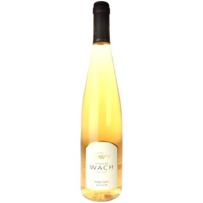 Alsace Pinot Gris Macération 2022, Domaine Guy Wach